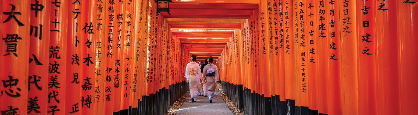 TS746 Journey through the Heart of Japan NEW