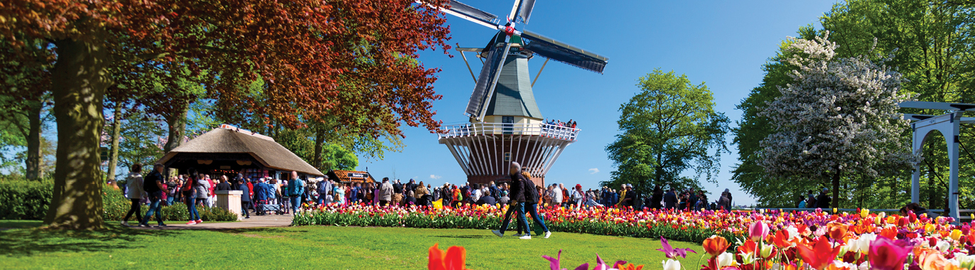 TS699 Netherlands Belgium France Keukenhof TS699 Netherlands Belgium France Keukenhof