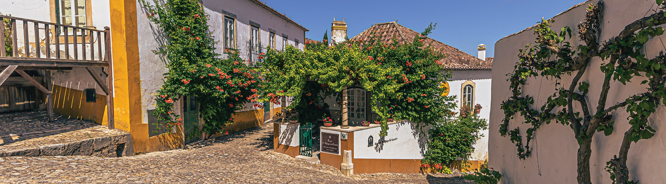 TS51 Sunny Portugal