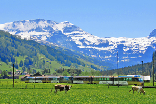 TS45 Discover Switzerland
