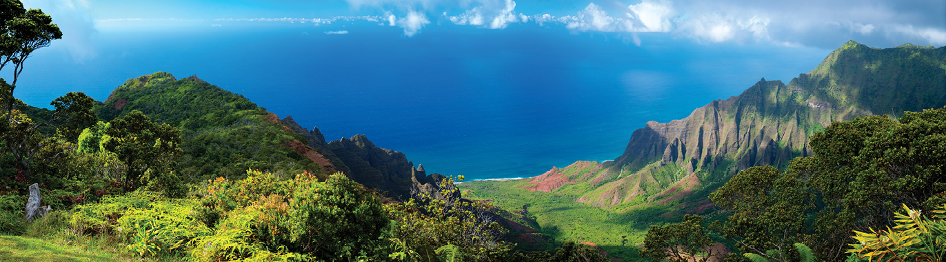 TS98 Grand Hawaiian Adventure Alt TS98 Grand Hawaiian Adventure Alt