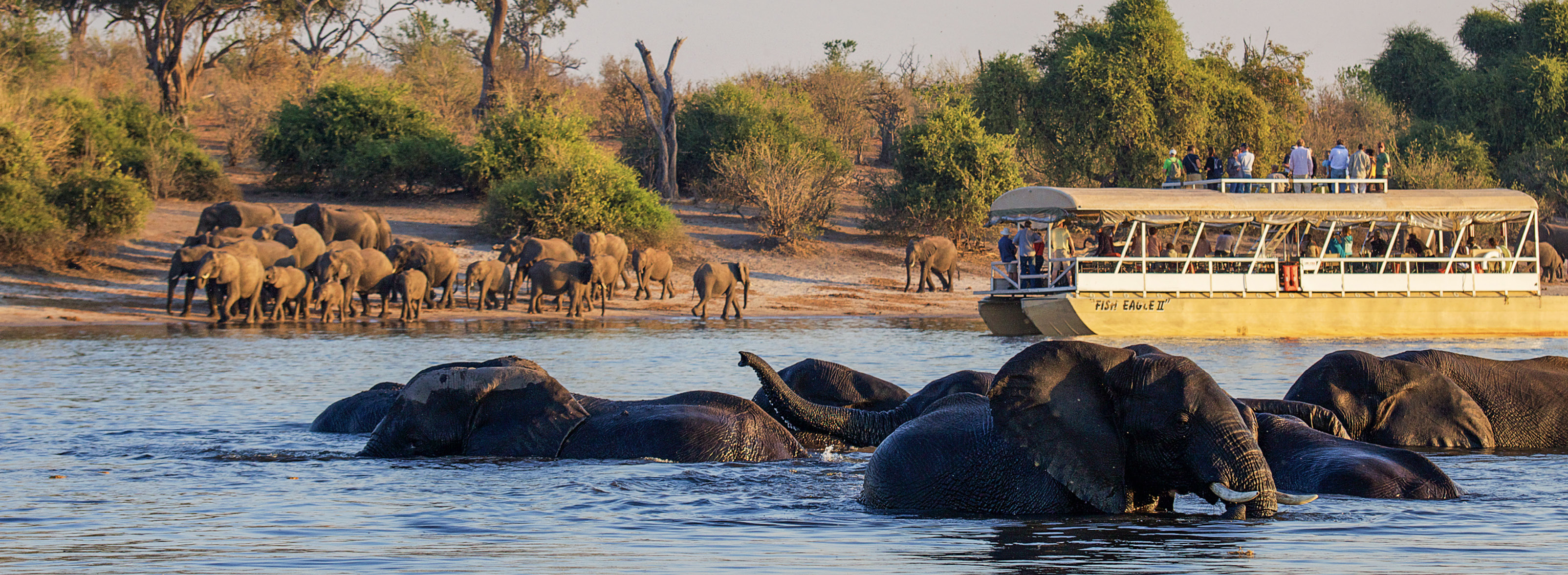 Wilderness of Southern Africa: Safari by Land & Water