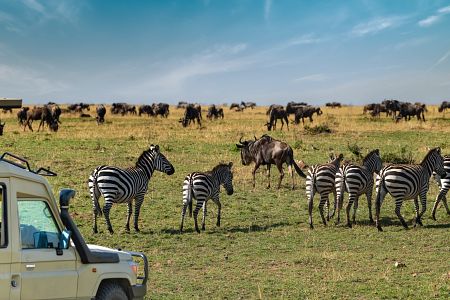 Treasures of Africa TourSearch