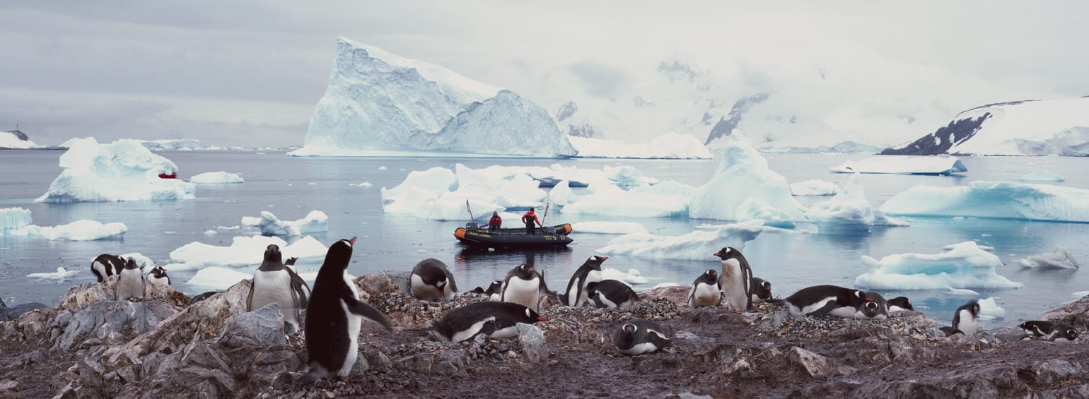 Journey to Antarctica: The White Continent