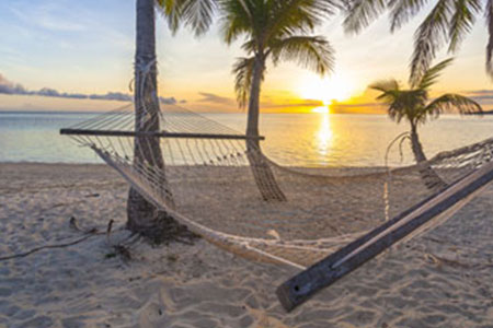 fiji search 2