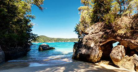 Australia New Zealand Explorations Day6 Nelson Abel Tasman National Park Nelson