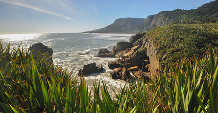 Australia New Zealand Explorations Day8 Punakaiki or Hokitika Franz Josef