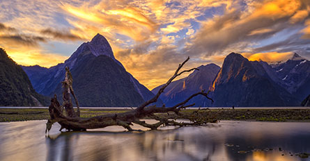 Australia New Zealand Explorations Day11 Milford Sound