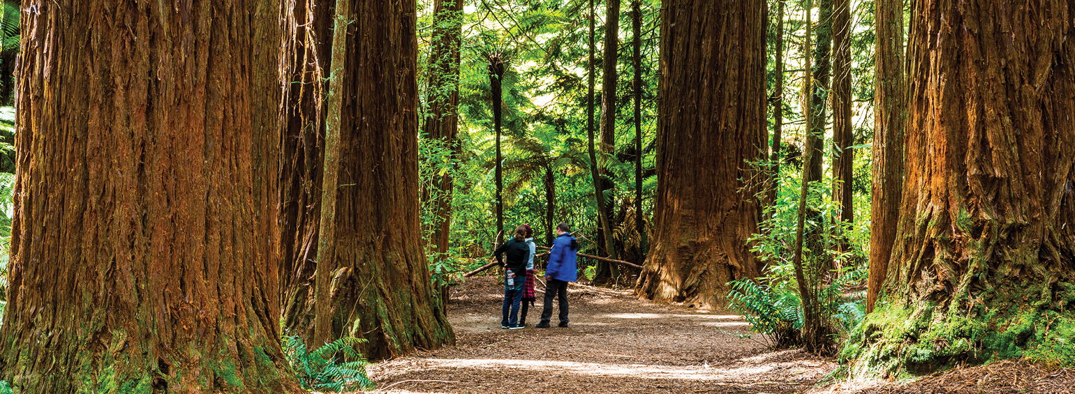 Exploring New Zealand's Wonders