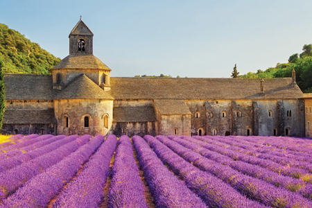 journey through southern france search img sm