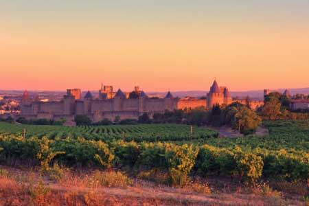Treasures of Southern France MVC Search