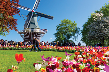 NetherlandsBelgiumFranceftKeukenhof Search