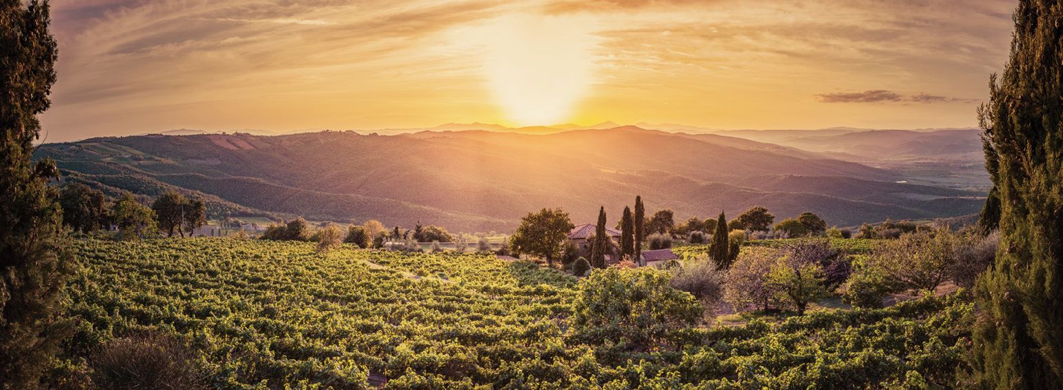 Tuscan & Umbrian Countryside