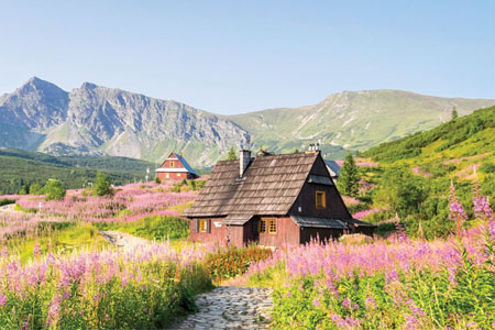 pilgrimage to poland search img sm
