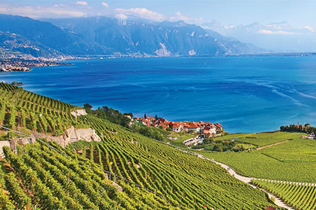 SwitzerlandHiddenTrails search Lavaux