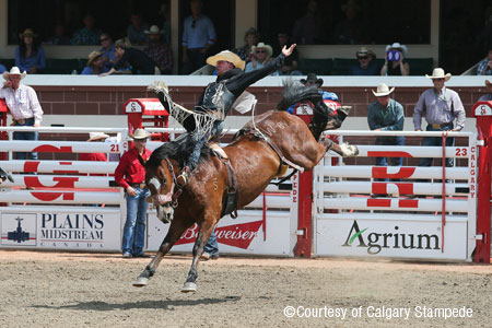 calgarystampede searchimg