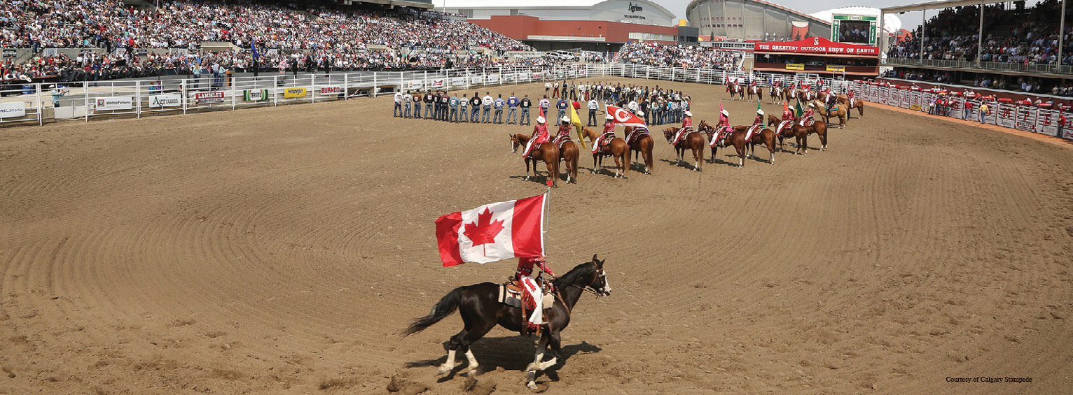 calgary stampede tour packages