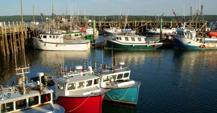 MaritimesCoastalWonders Day9 SaintJohn WesternShoreNovaScotia