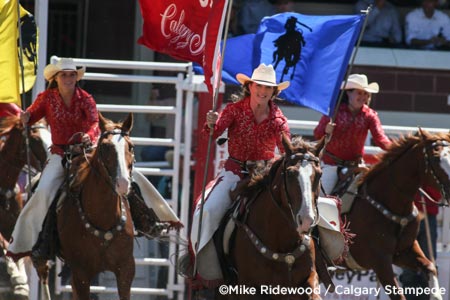 Calgary Stampede Search