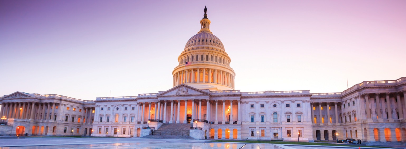 washington dc guided tour packages