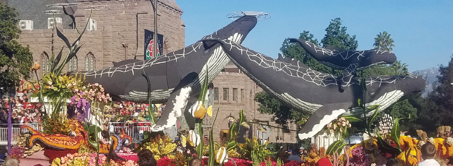 https://i.gocollette.com/tour-media-manager/tours/north-america/usa/553/packages/master-package/top-carousel/californianewyearstor_hero1_tournamentrosesparade.jpg