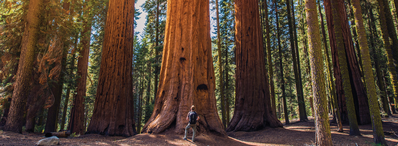 Pacific Northwest & California