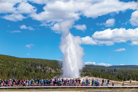 Northwest Uncovered Sun Valley Yellowstone TourCard