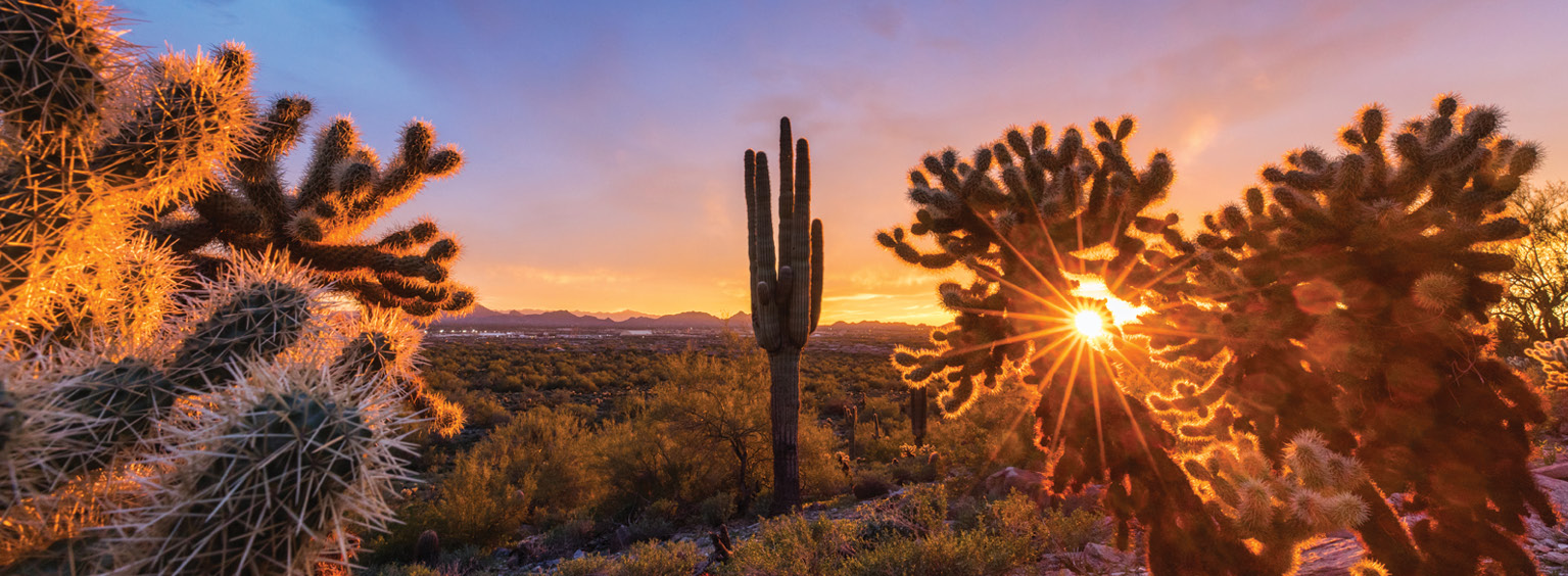 Usa National Parks Tours Visit Denver Collette - 