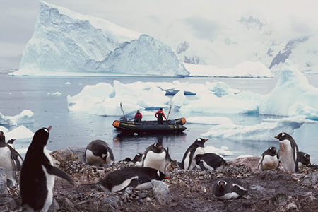 AdventureToAntarctica Search